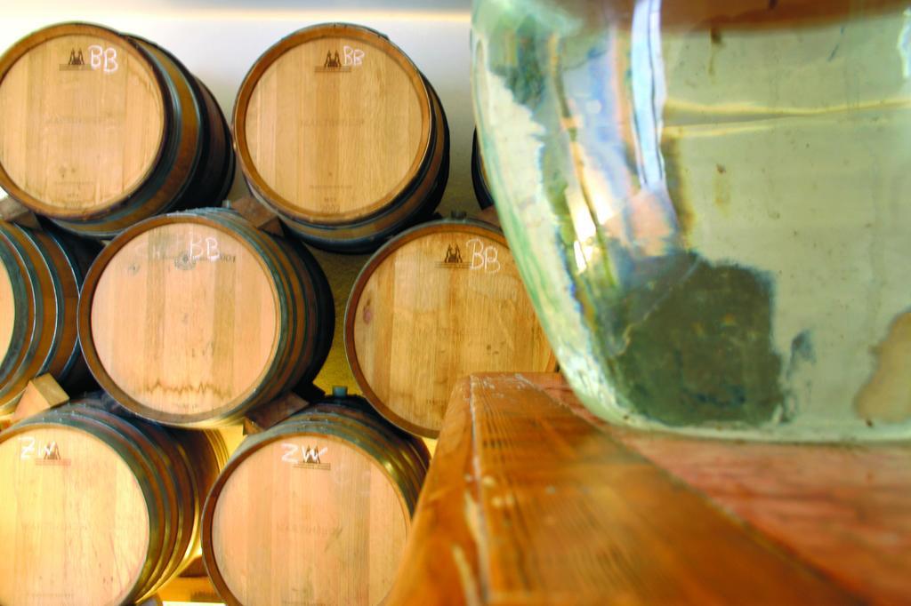فندق Weingut Martinshof Sankt Ulrich  المظهر الخارجي الصورة