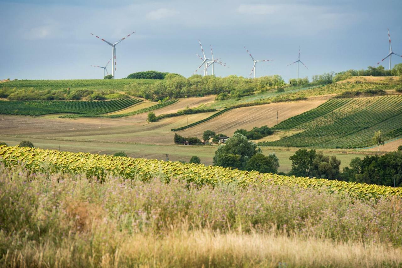 فندق Weingut Martinshof Sankt Ulrich  المظهر الخارجي الصورة